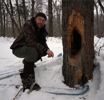 Jon at bear-raided hive